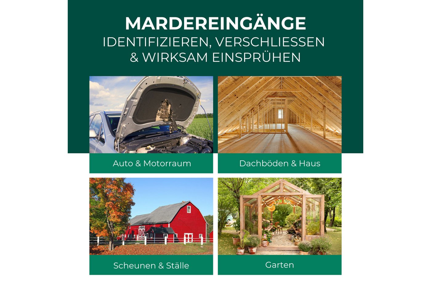 Silberkraft Marderspray Silberkraft Marder Stopp Spray, Sofort- & Langzeitschutz gegen Marder, 400 ml, 1-St., Verhindert Marderbisse an Kabeln & Schläuchen, für Abwehr Bild 4