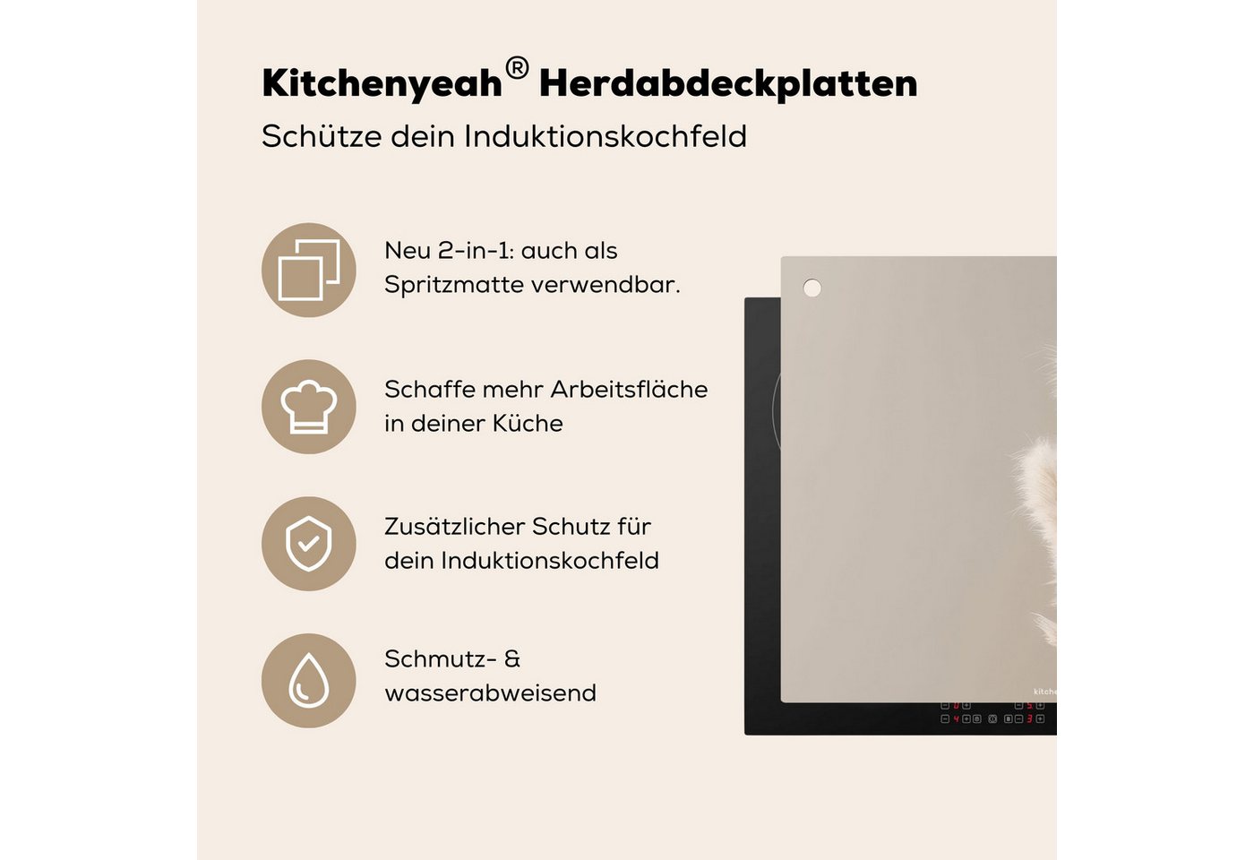 KitchenYeah Küchenrückwand Pampasfedern - Beige - Pampasgras - Trockenblumen, (1-tlg), Herdabdeckplatten Ceranfeld, Induktionsschutz, Spritzschutz, 65x55 cm Bild 5