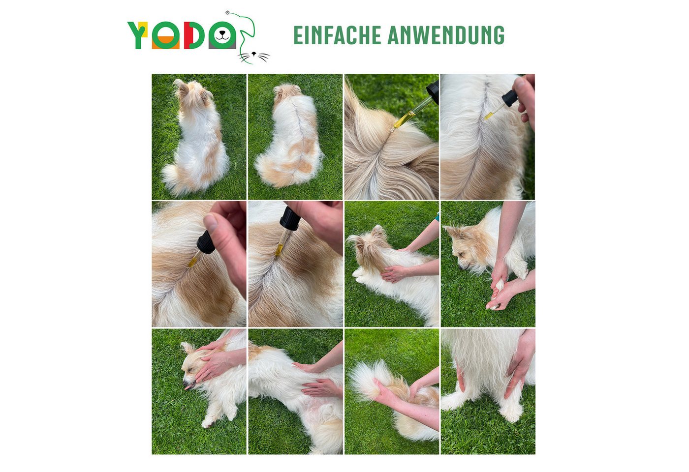 YODO Zeckenschutzmittel YODO's Zeckenschreck Zeckenöl für Hunde, Eukalyptus, 20 ml, 1-St., Aus 7 BIO-Ölen zur Zeckenabwehr hergestellt Bild 2
