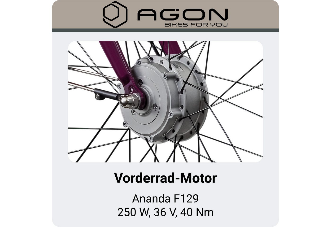 AGON E-Bike Cityrad Axis, 3 Gang, Nabenschaltung, Frontmotor, 536 Wh, Pedelec, Elektrofahrrad für Damen u. Herren Bild 3