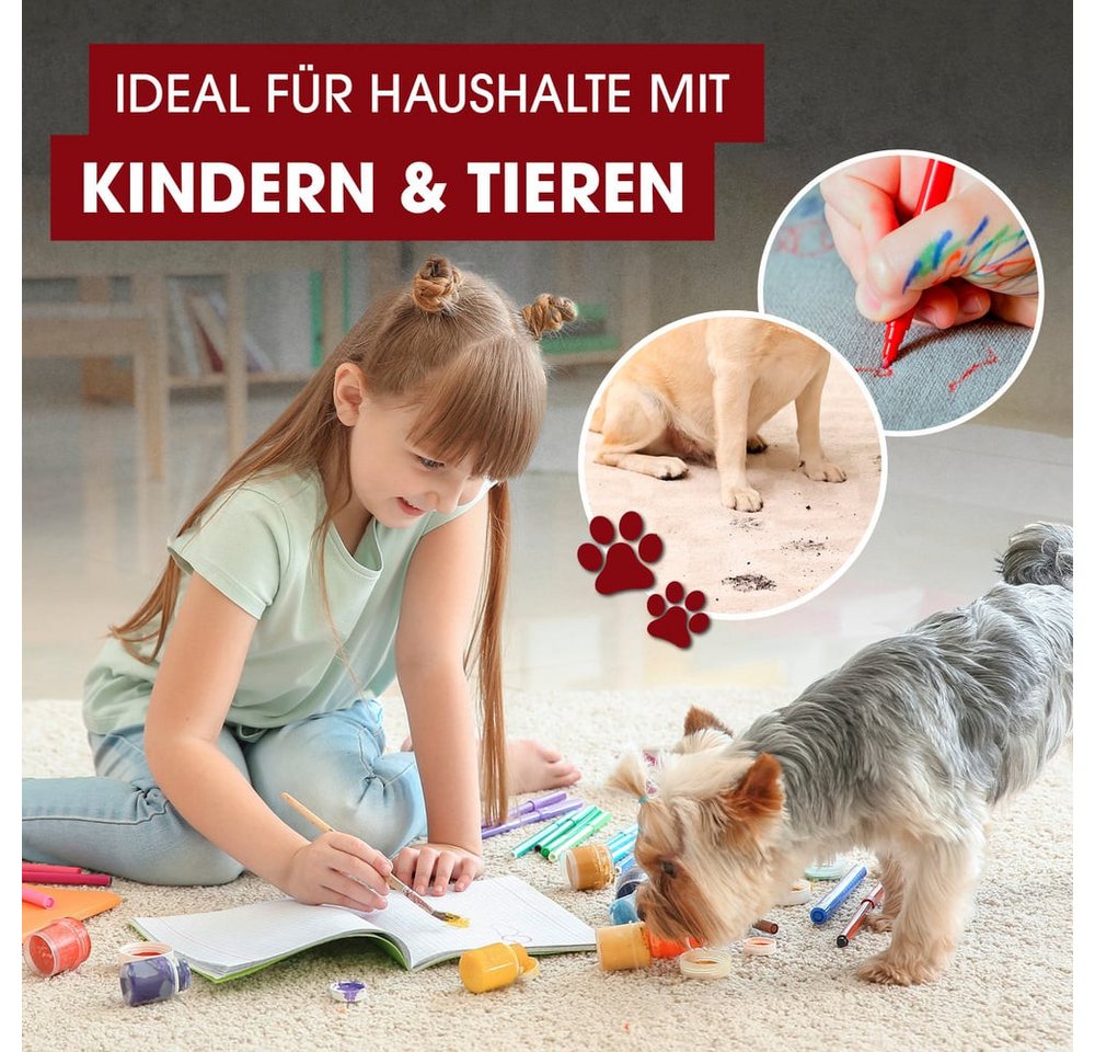 CLEANmaxx Teppichreinigungsgerät Polster- & Teppichreiniger 400W anthrazit/rot, 400 W, mit Frisch- & Brauchwassertank und Shampoo Bild 4