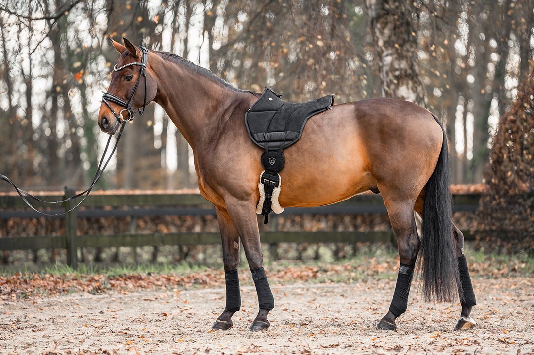 Equinate Wanderreitsattel Reitpad Toledo aus Mikrofaser Bild 4