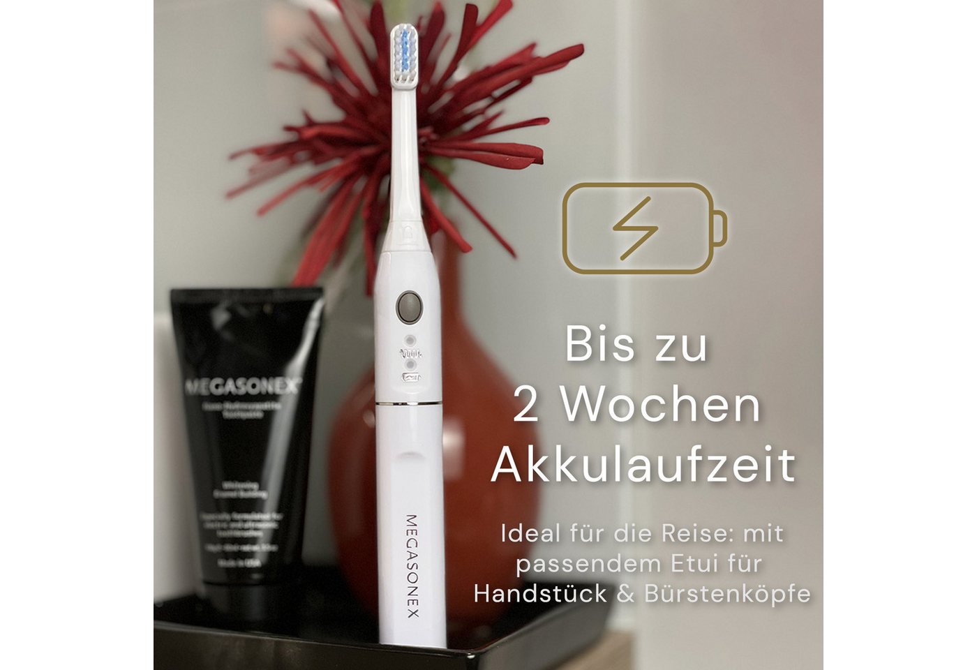 Megasonex Ultraschallzahnbürste M8, Aufsteckbürsten: 2 St., Ultraschall-Zahnbürste mit Ladestation, 2 Bürstenköpfen & Reiseetui Bild 4
