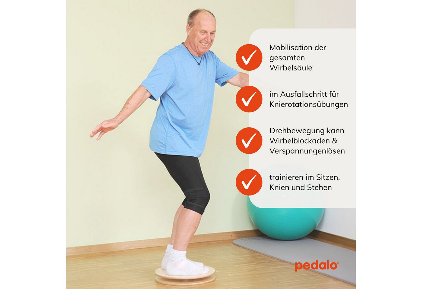 pedalo® Rückentrainer Twister I Gleichgewicht I Therapie I Kreisel I Rotation I Drehscheibe, (Knierotatoren, Hüftrotatoren, Beinachse, Rücken, Rumpf trainieren), Hohe Standsicherheit