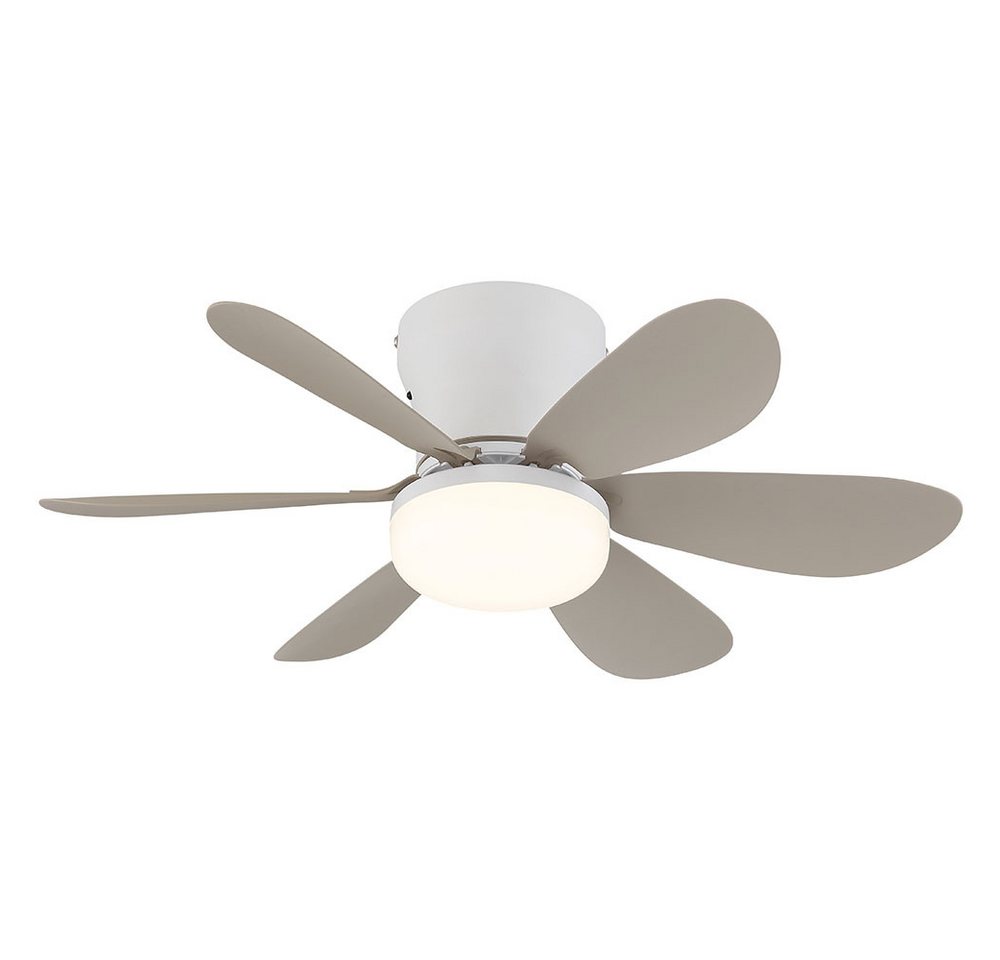 GLOBO LIGHTING Deckenventilator, LED Deckenventilator Deckenlampe Dimmer sandfarben CCT Fernbedienung Bild 5