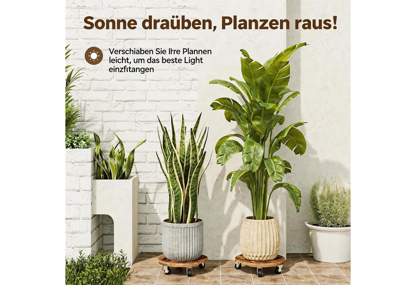 Bamworld Pflanzenroller mit Rollen, robust für schwere Pflanzen, 30,5 cm, Indoor & Outdoor, (2-St), mit Tablett, 360° drehbar mit Bremse, Tragfähigkeit 109 kg Bild 4