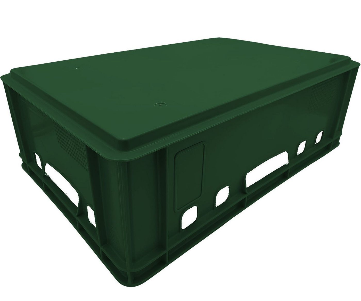 BURI Transportbehälter Fleischkiste E3 grün Lagerkiste Eurobox lebensmittelecht stapelbar, (1-St) Bild 2