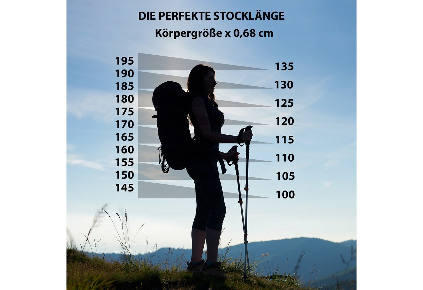 ALPIDEX Nordic-Walking-Stöcke ALPIDEX superleichter Carbon Nordic Walking Stock Bild 3