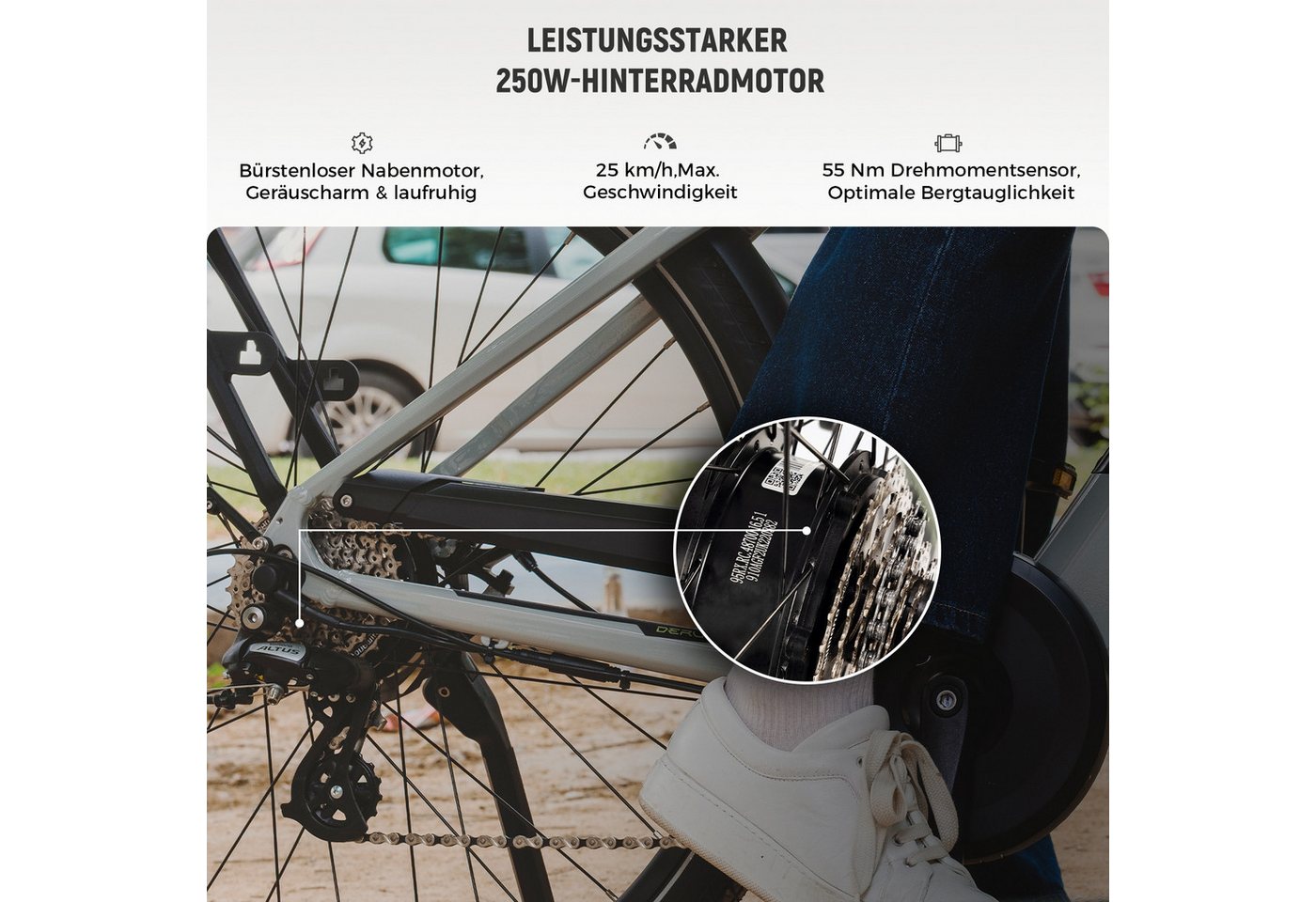 DERUIZ E-Bike Cityrad Quartz M 250W 55 Nm Drehmomentsensor, bis 25 km/h,121 km, 8 Gang Shimano Altus Schaltwerk, Heckmotor, 483 Wh Bild 5