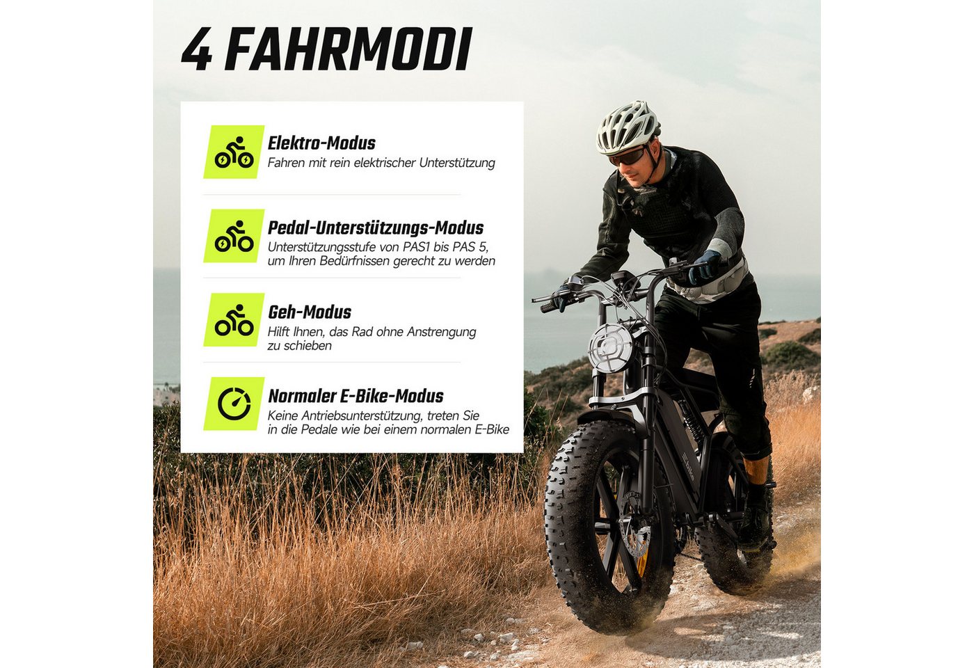 SISIGAD E-Bike Mountainbike 20'' Fat Tire48V 25Ah, Leistung und 130 km Reichweite(PAS), fatbike, Heckmotor, 1200 Wh, 7-Gang Schaltung, Vollfederung und hoher Tragkraft 204kg, LED und APP Bild 3