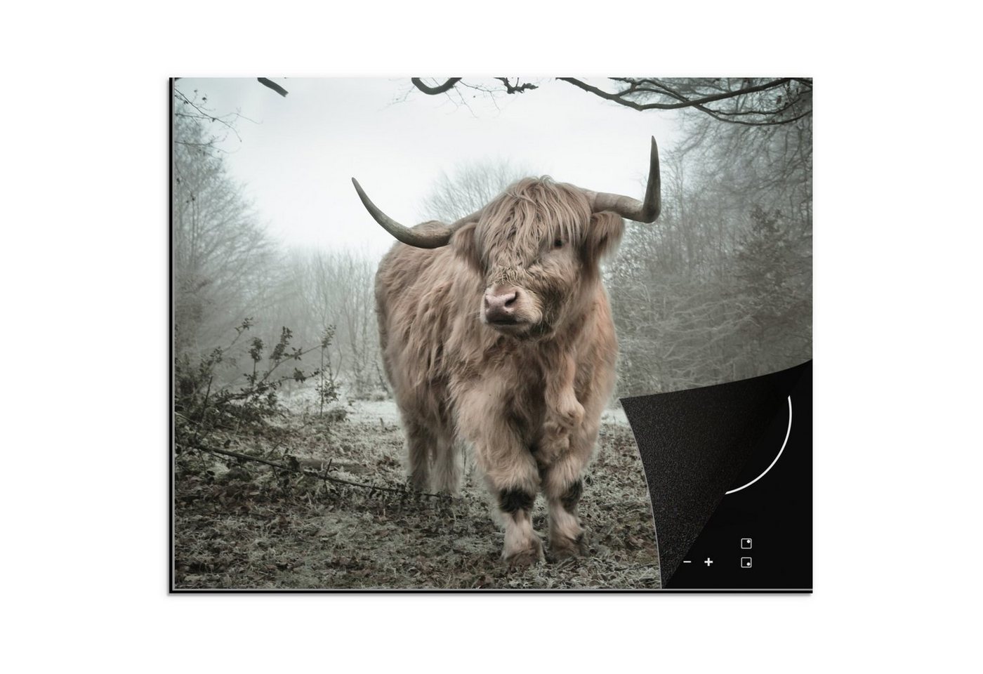 MuchoWow Herd-Abdeckplatte Schottischer Highlander - Wald - Nebel - Kuh - Tiere - Natur, Vinyl, (1 tlg), Abdeckung Induktionskochfeld Schutzmatte, Küche Deko, 65x52 cm Bild 5