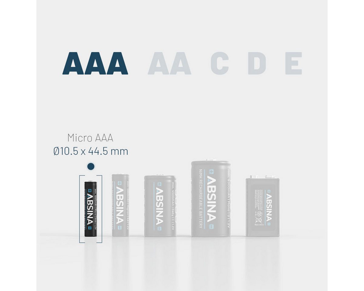 ABSINA ABSINA Akku 8x AAA 1150 + 8x AA 2900 Akku 2650 mAh (1.2 V)