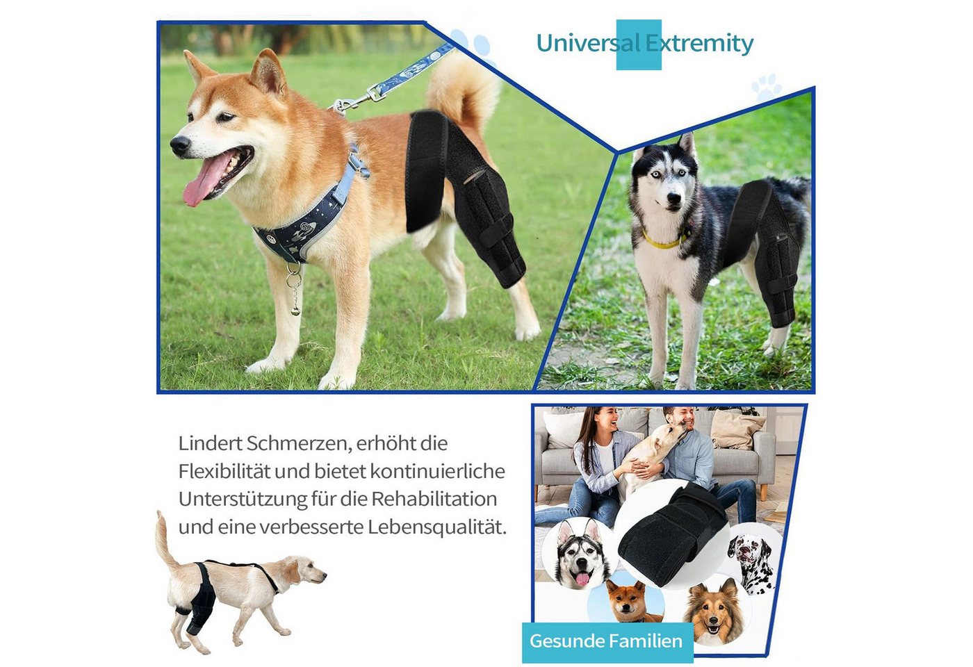 LIANNA Knieschutz Hund Kniebandage verstellbar für Kreuzbandriss mit Klett (Set, 1-tlg., Hundeknie Bandage mit Klettverschluss stabil & verstellbar), Kniestütze für Hunde stabil bei Kreuzbandverletzung 1 Stück