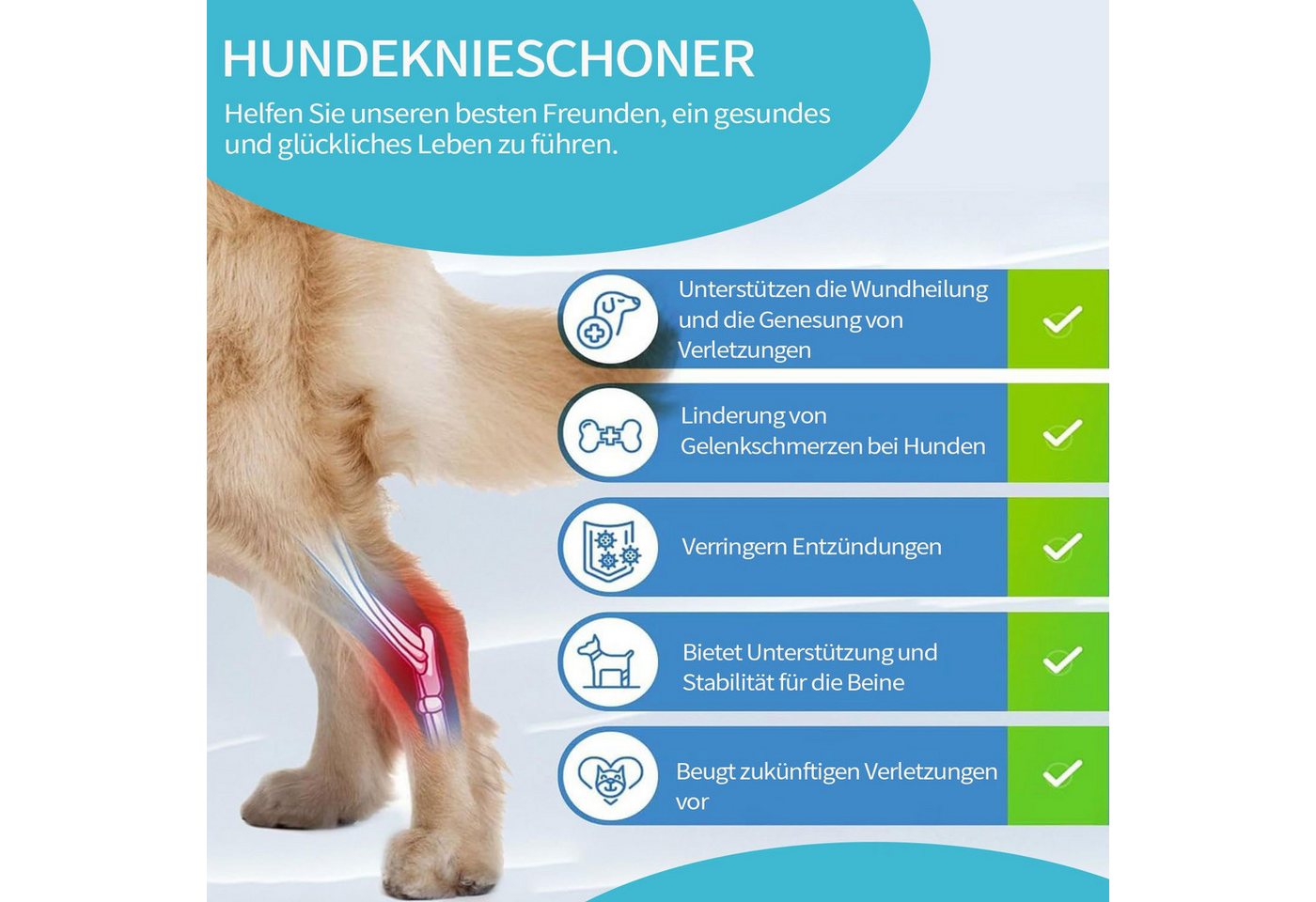 LIANNA Knieschutz Hund Kniebandage verstellbar für Kreuzbandriss mit Klett (Set, 1-tlg., Hundeknie Bandage mit Klettverschluss stabil & verstellbar), Kniestütze für Hunde stabil bei Kreuzbandverletzung 1 Stück Bild 3