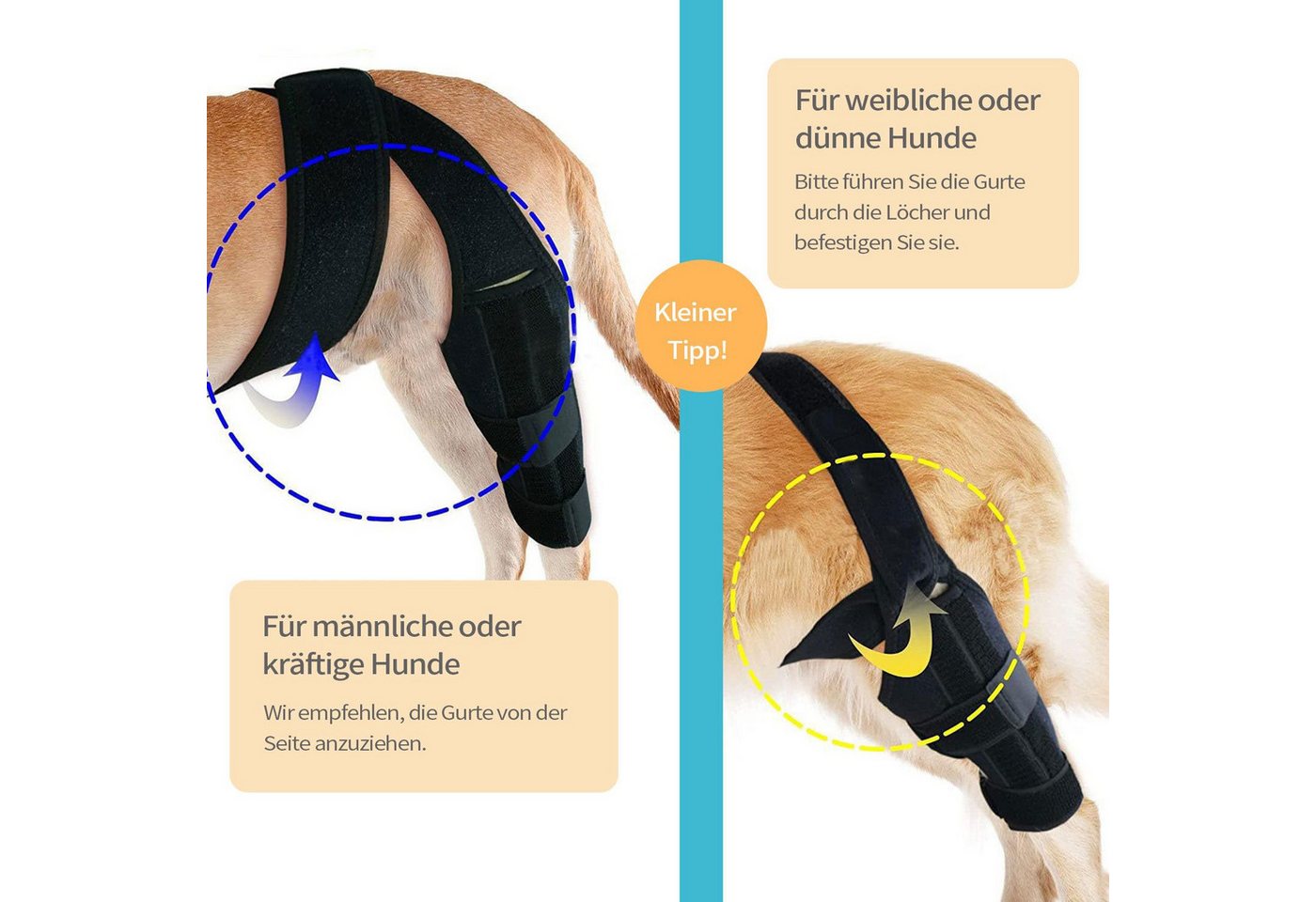 LIANNA Knieschutz Hund Kniebandage verstellbar für Kreuzbandriss mit Klett (Set, 1-tlg., Hundeknie Bandage mit Klettverschluss stabil & verstellbar), Kniestütze für Hunde stabil bei Kreuzbandverletzung 1 Stück Bild 5