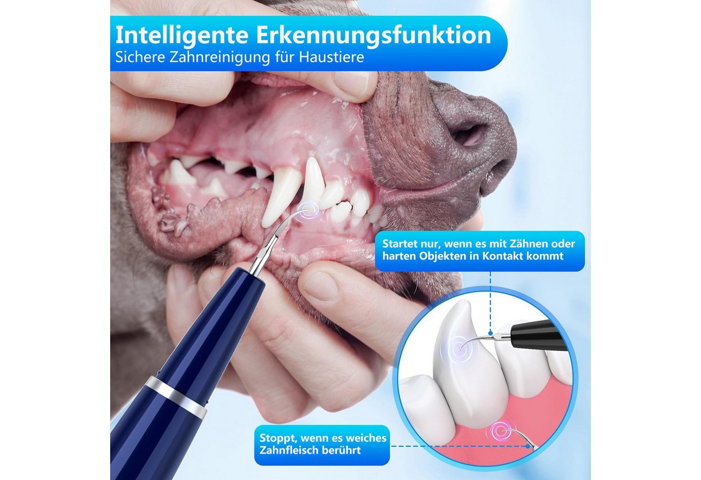 Futicare Zahnpflege-Set Ultraschall-Zahnreiniger für Hunde/Katzen 5 Modi & 3 Köpfe, IPX7 wasserdicht (1500mAh)​ Bild 5