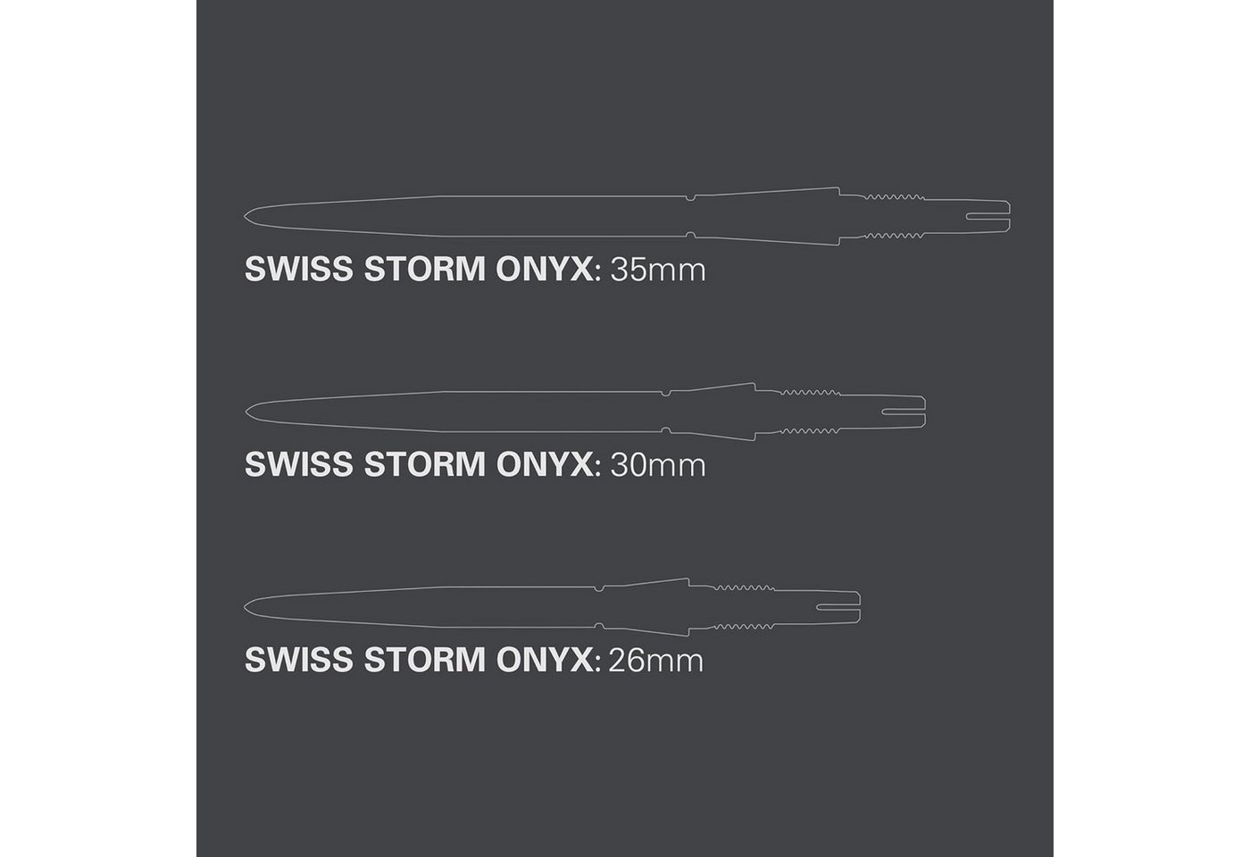 TARGET DARTS Dartpfeil 2 Set Swiss Point Storm Steel, Onyx (6 Stück) 30 MM  Silber Bild 2