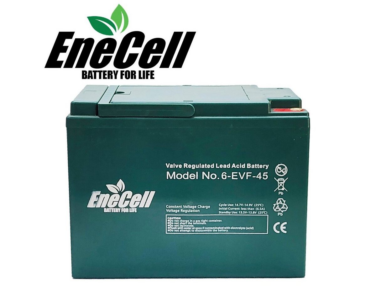 ENECELL Einzelakku 12V 45Ah für ElektroFahrzeuge Kabinenroller Akku 45000 mAh (12 V), Erweiterungsakku, Schraubanschluss