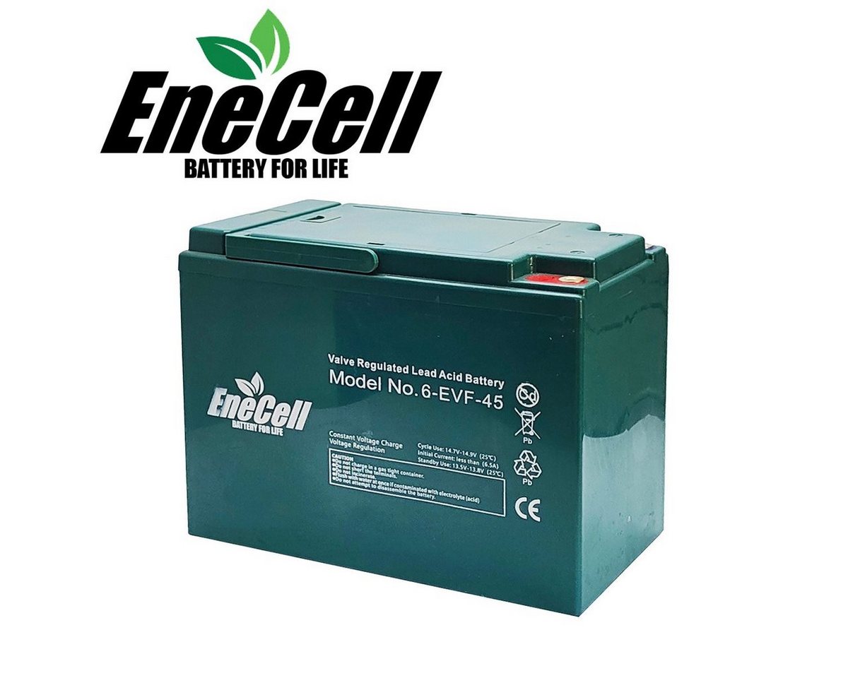 ENECELL Einzelakku 12V 45Ah für ElektroFahrzeuge Kabinenroller Akku 45000 mAh (12 V), Erweiterungsakku, Schraubanschluss Bild 2