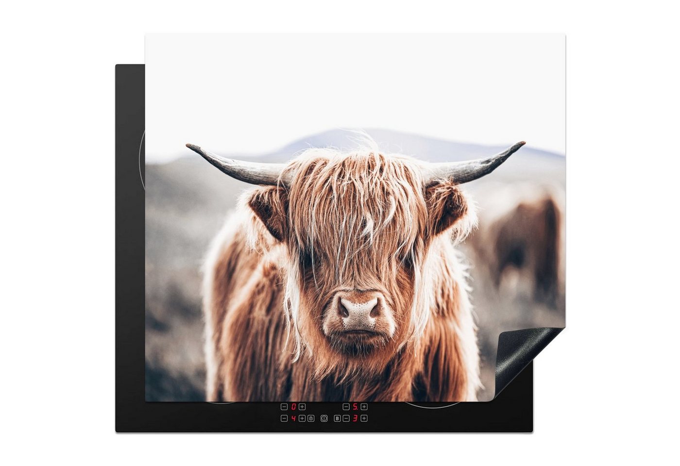 MuchoWow Herd-Abdeckplatte Schottischer Highlander - Berg - Hoorn, Vinyl, (1 tlg), Ceranfeldabdeckung Küche, Herdabdeckplatte Einteilig, 59x51 cm