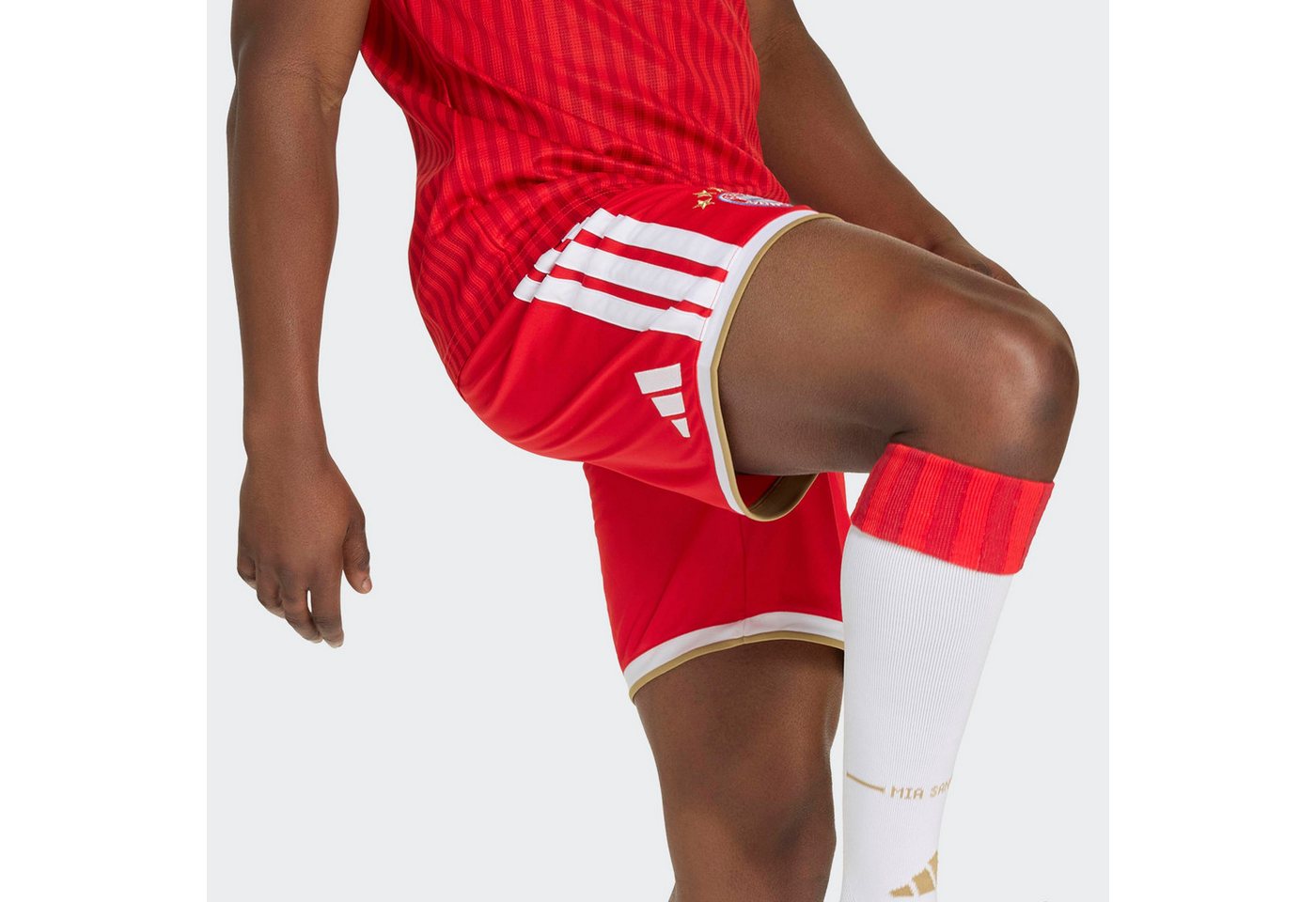 adidas Performance Trainingsshorts FC BAYERN MÜNCHEN 26/27 für Fußball, mit elastischem Bund und Kordelzug, aus Polyester Bild 3
