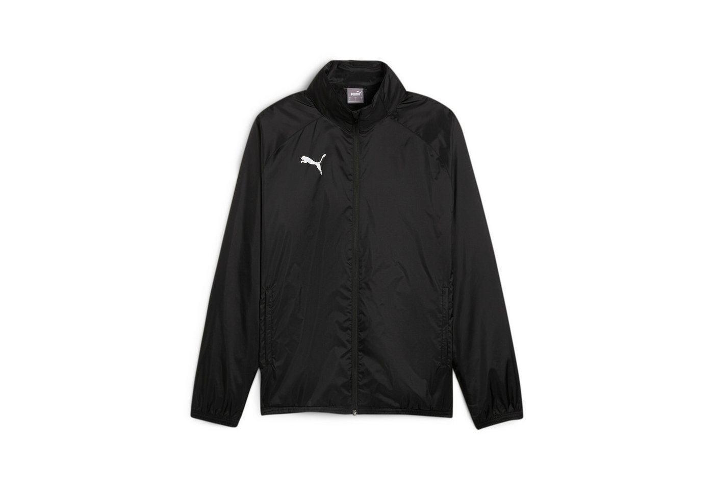 PUMA Trainingsjacke TEAMGOAL ALL WEATHER JACKET moderne Optik, mit leistungsstarken Materialien, mit Kapuze
