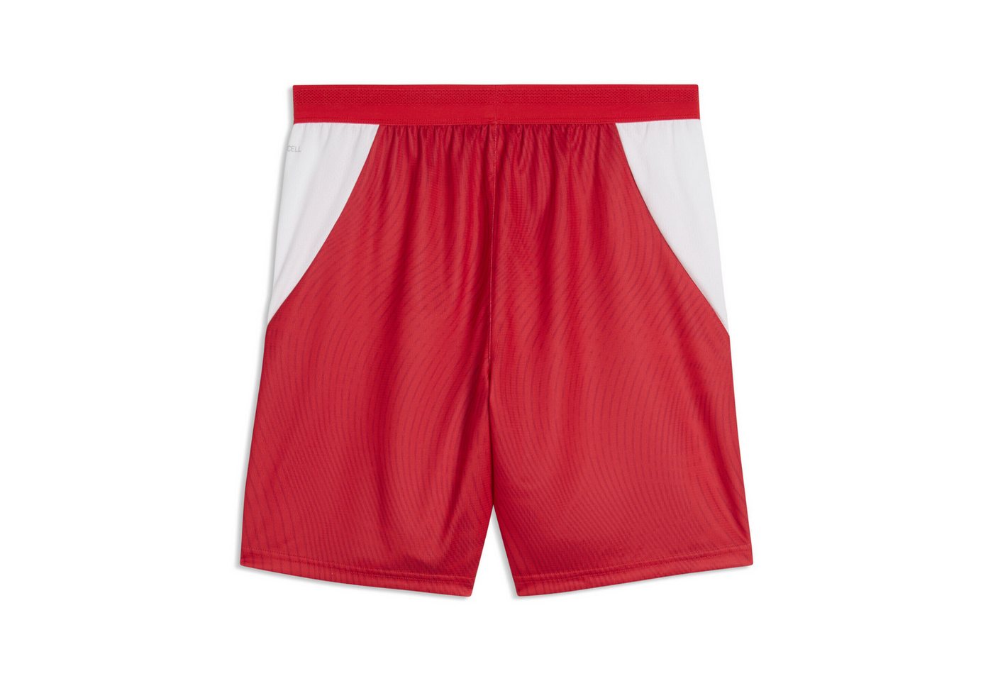 PUMA Sporthose Schweiz 2026 Shorts Herren Bild 4