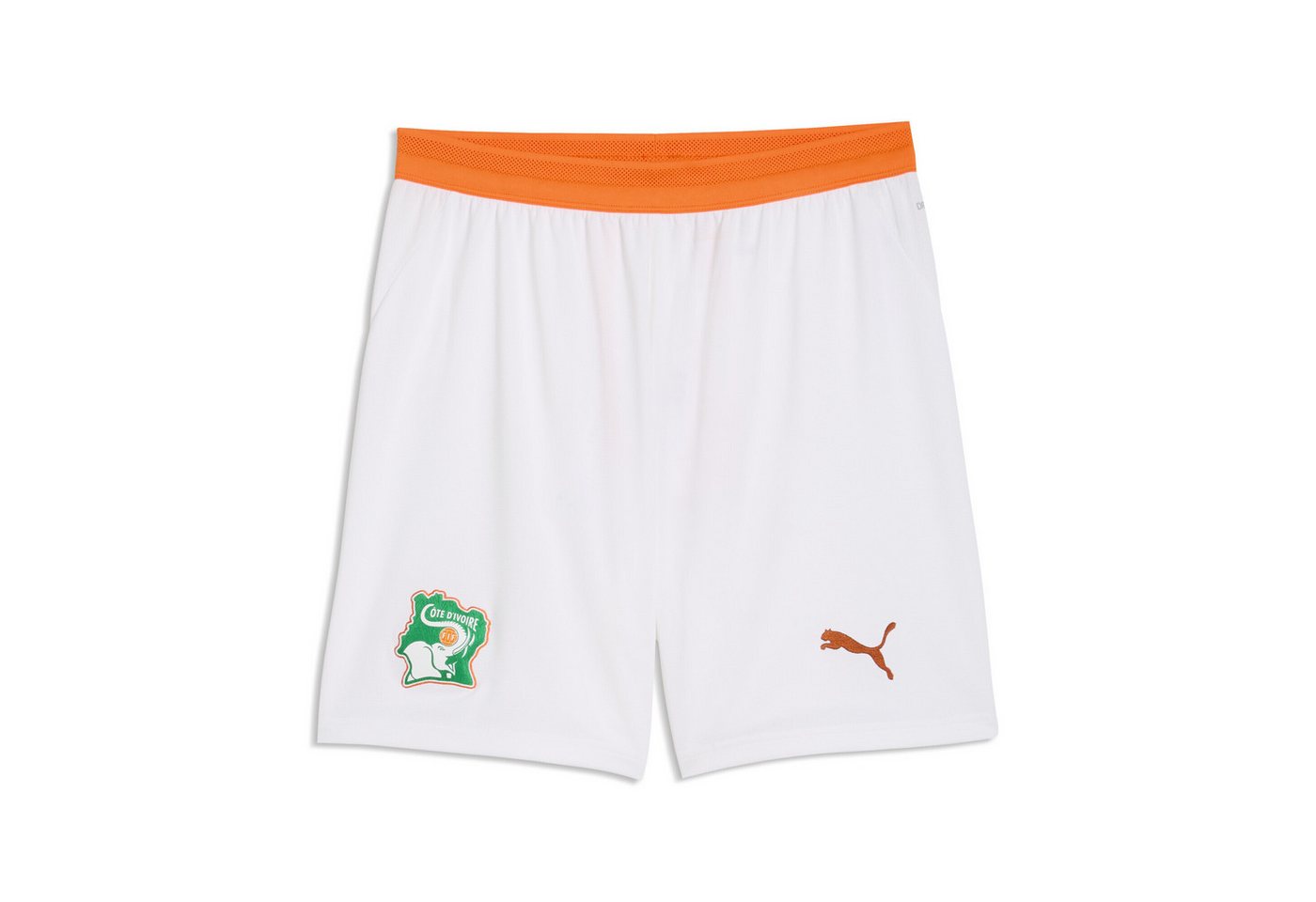 PUMA Sporthose Elfenbeinküste Shorts Herren Bild 2