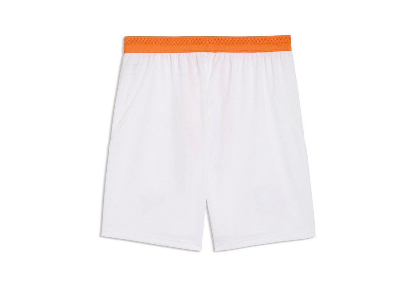 PUMA Sporthose Elfenbeinküste Shorts Herren Bild 4