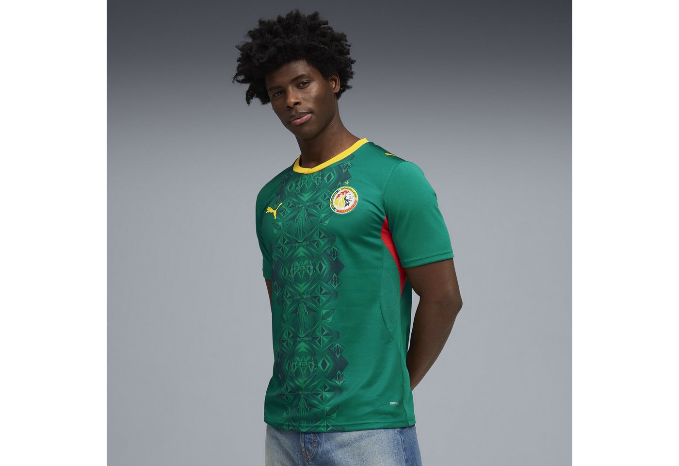 PUMA Trainingsshirt Senegal 2026 Auswärtstrikot Herren Bild 5