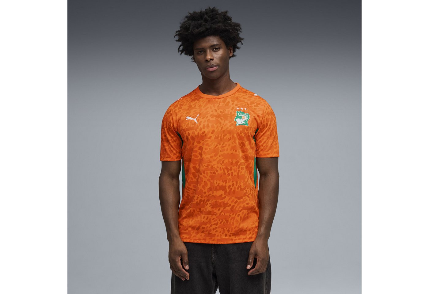 PUMA Trainingsshirt Elfenbeinküste 2026 Heimtrikot Herren Bild 2