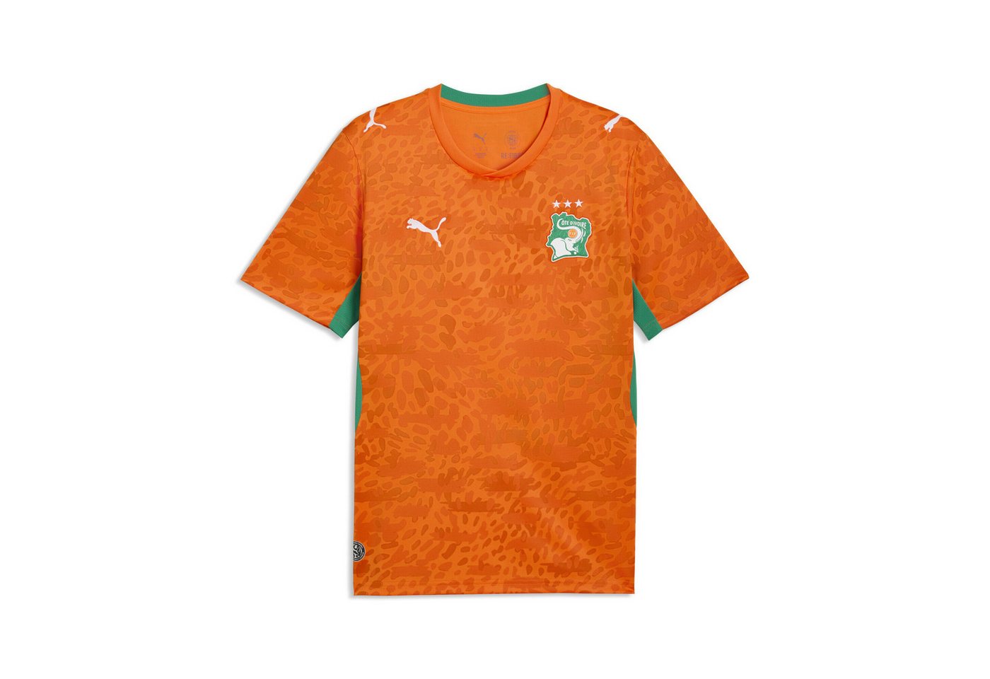 PUMA Trainingsshirt Elfenbeinküste 2026 Heimtrikot Herren Bild 3