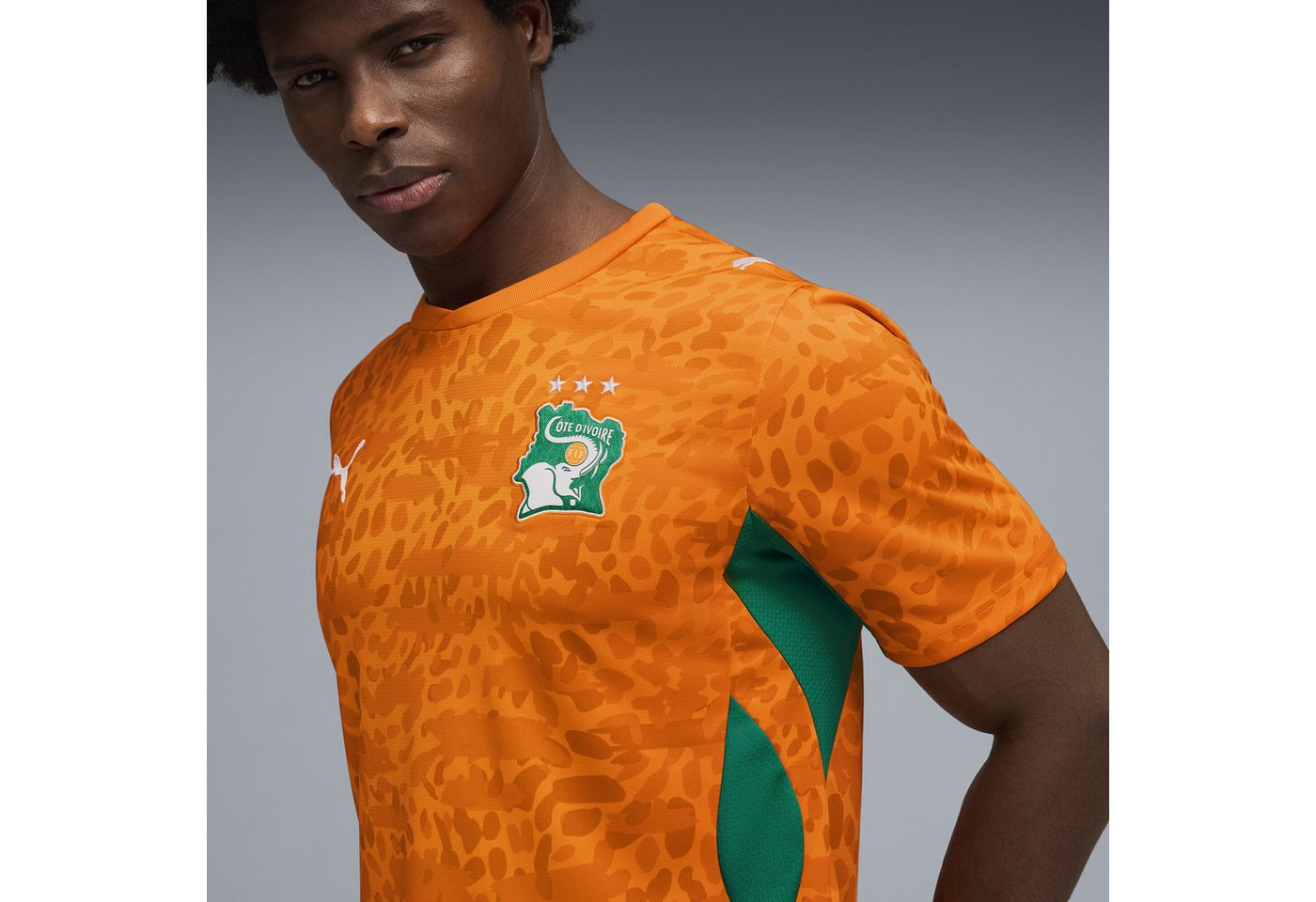 PUMA Trainingsshirt Elfenbeinküste 2026 Heimtrikot Herren Bild 4
