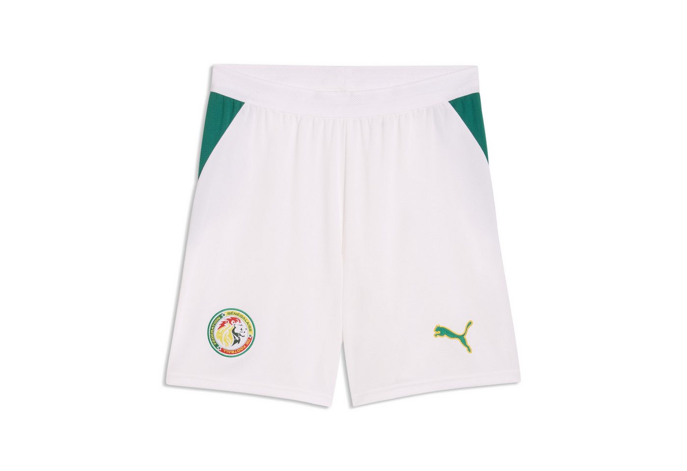 PUMA Sporthose Senegal Shorts Herren