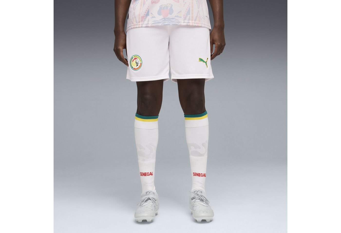 PUMA Sporthose Senegal Shorts Herren Bild 2
