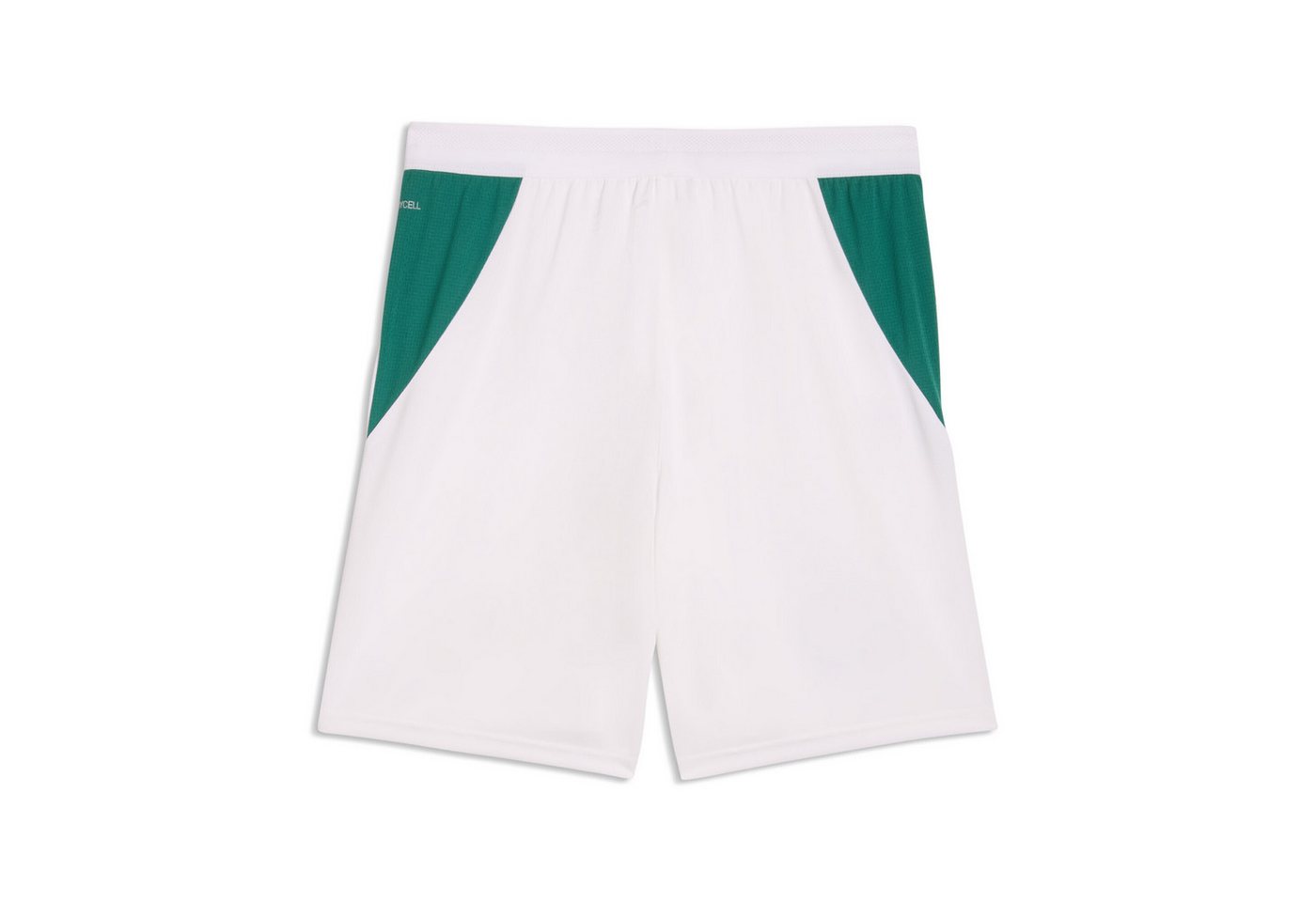 PUMA Sporthose Senegal Shorts Herren Bild 3