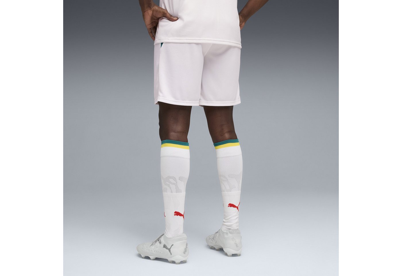 PUMA Sporthose Senegal Shorts Herren Bild 4