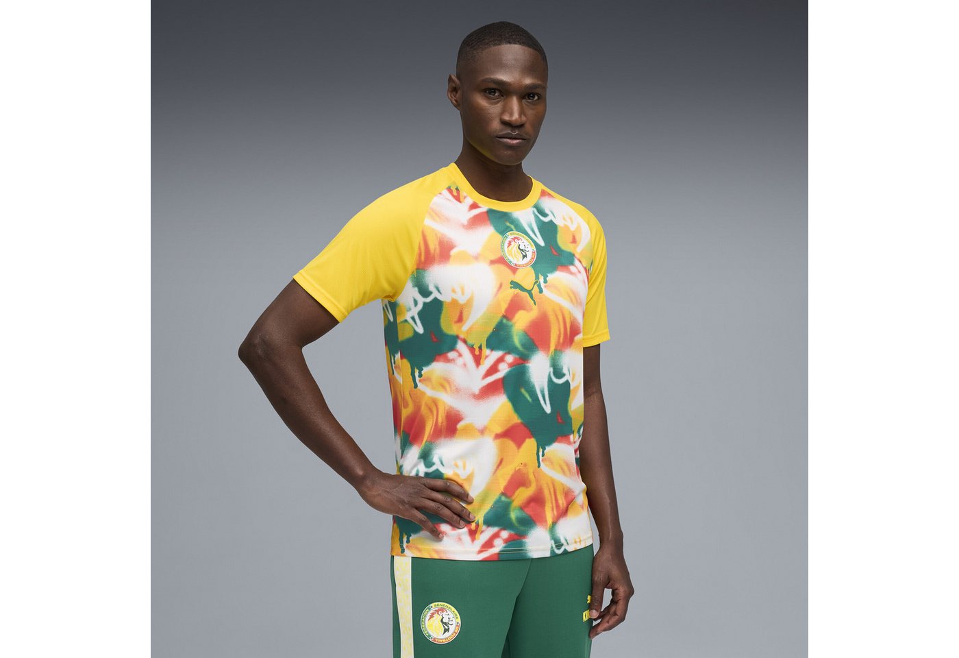 PUMA Trainingsshirt Senegal Aufwärmtrikot Herren Bild 3