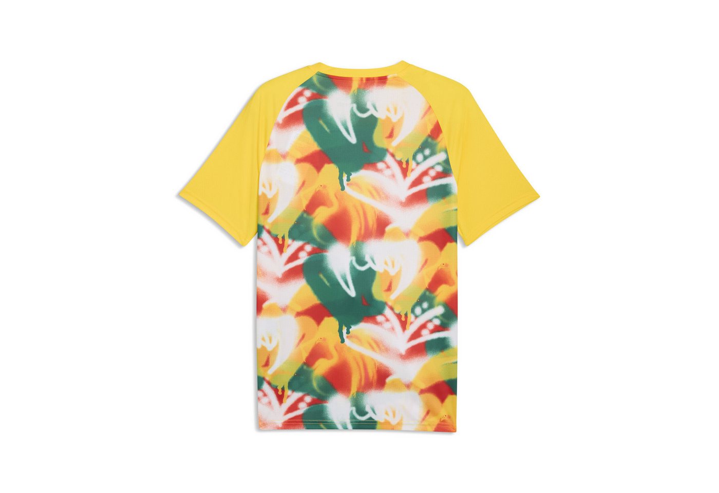 PUMA Trainingsshirt Senegal Aufwärmtrikot Herren Bild 4