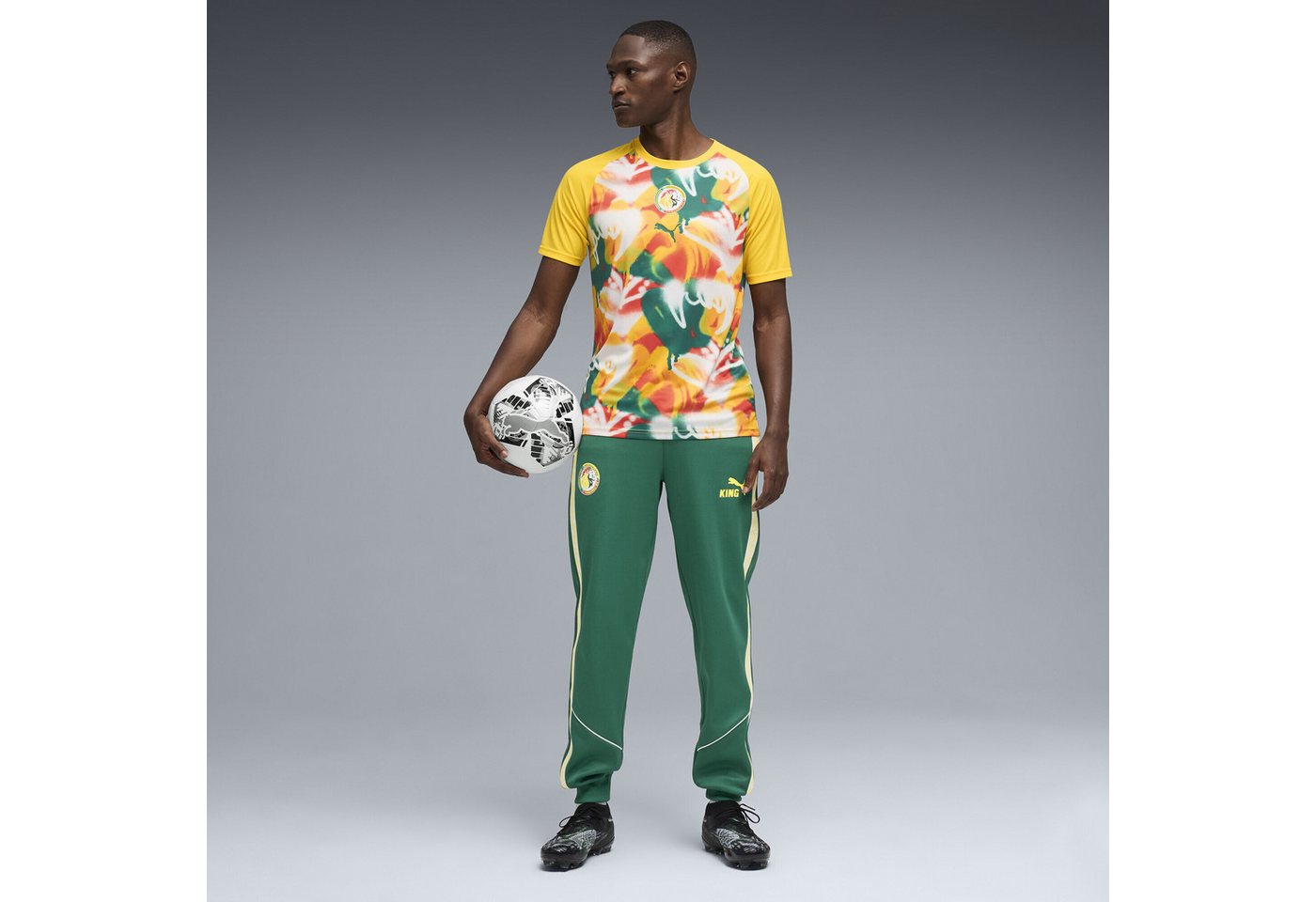 PUMA Trainingsshirt Senegal Aufwärmtrikot Herren Bild 5