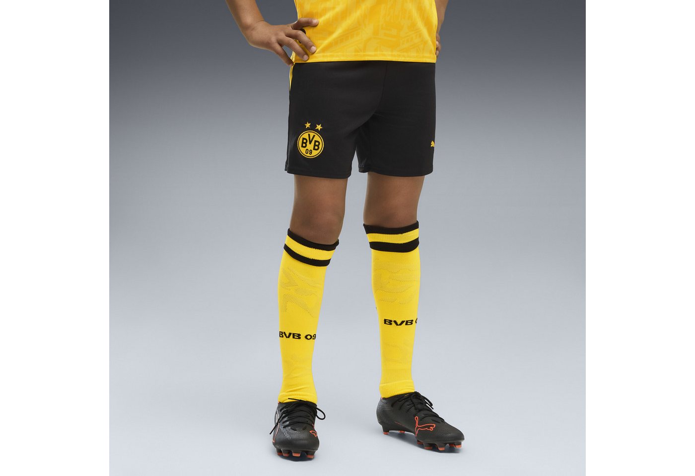 PUMA Sporthose Borussia Dortmund 26/27 Shorts Jugendliche Bild 2