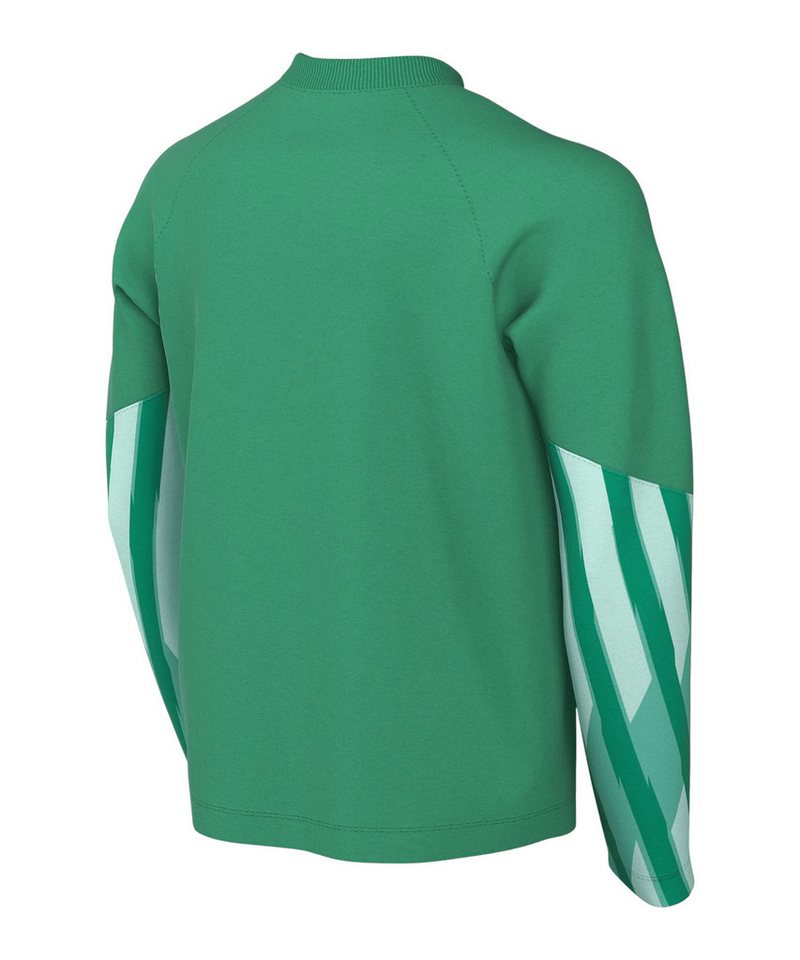 Nike Fußballtrikot Nike Performance Park V Torwarttrikot Langarm Kids Teamsport