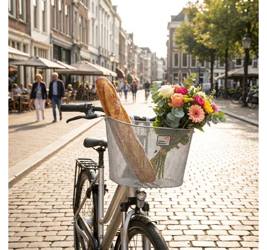 newlooxs Fahrradkorb NEW LOOXS KORB TOSCANE RAPIDLOCK SILVER 19L STEEL 34X25X25CM