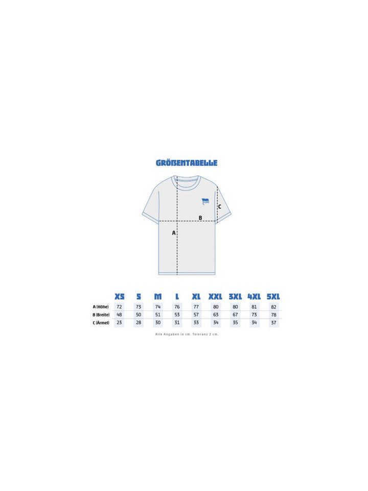 Hertha BSC Berlin Fußballtrikot Hertha BSC Auswärtstrikot 25/26 Castore Bild 2