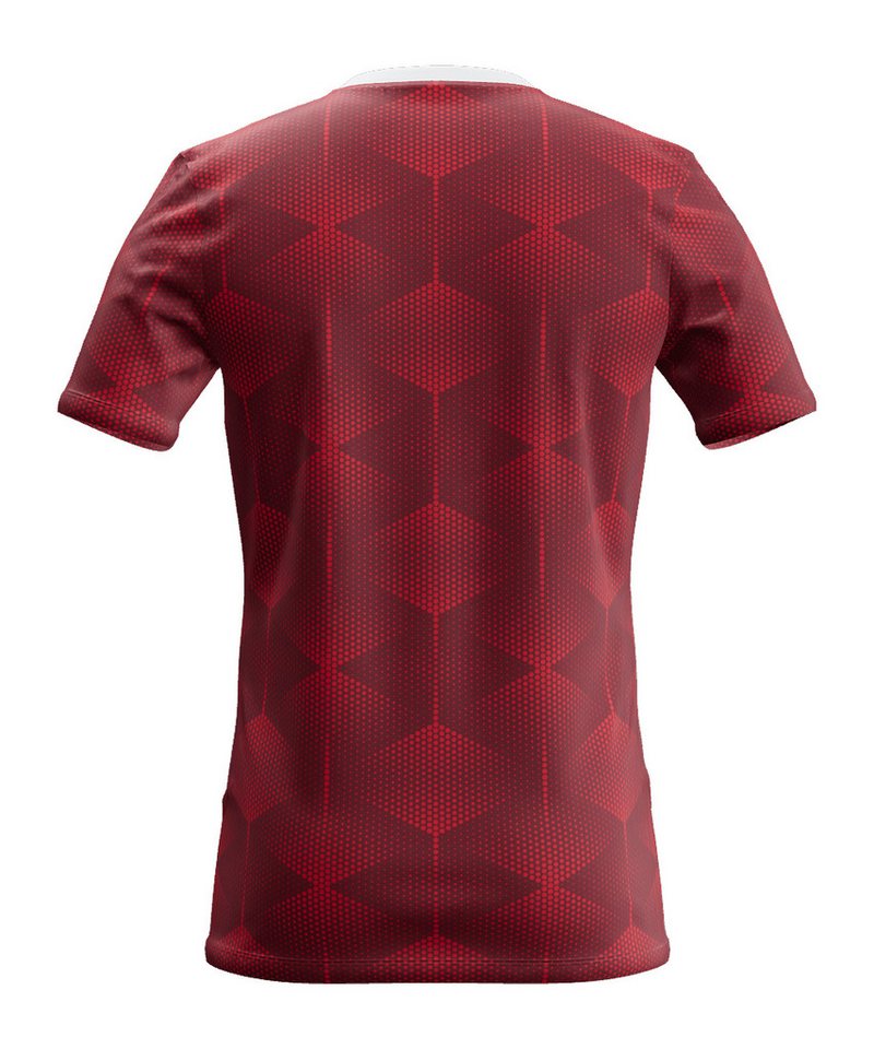Nike Fußballtrikot Nike Performance Park Fly Trikot Teamsport Bild 3