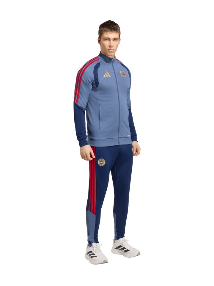 adidas Performance Trainingsanzug FC Bayern München, Trainingsanzug Teamline, Herren, Blau Bild 5