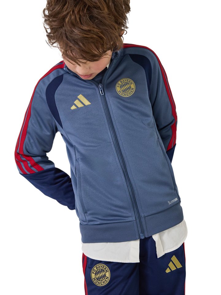 adidas Performance Trainingsanzug FC Bayern München, Trainingsanzug Teamline, Kinder, Blau Bild 2