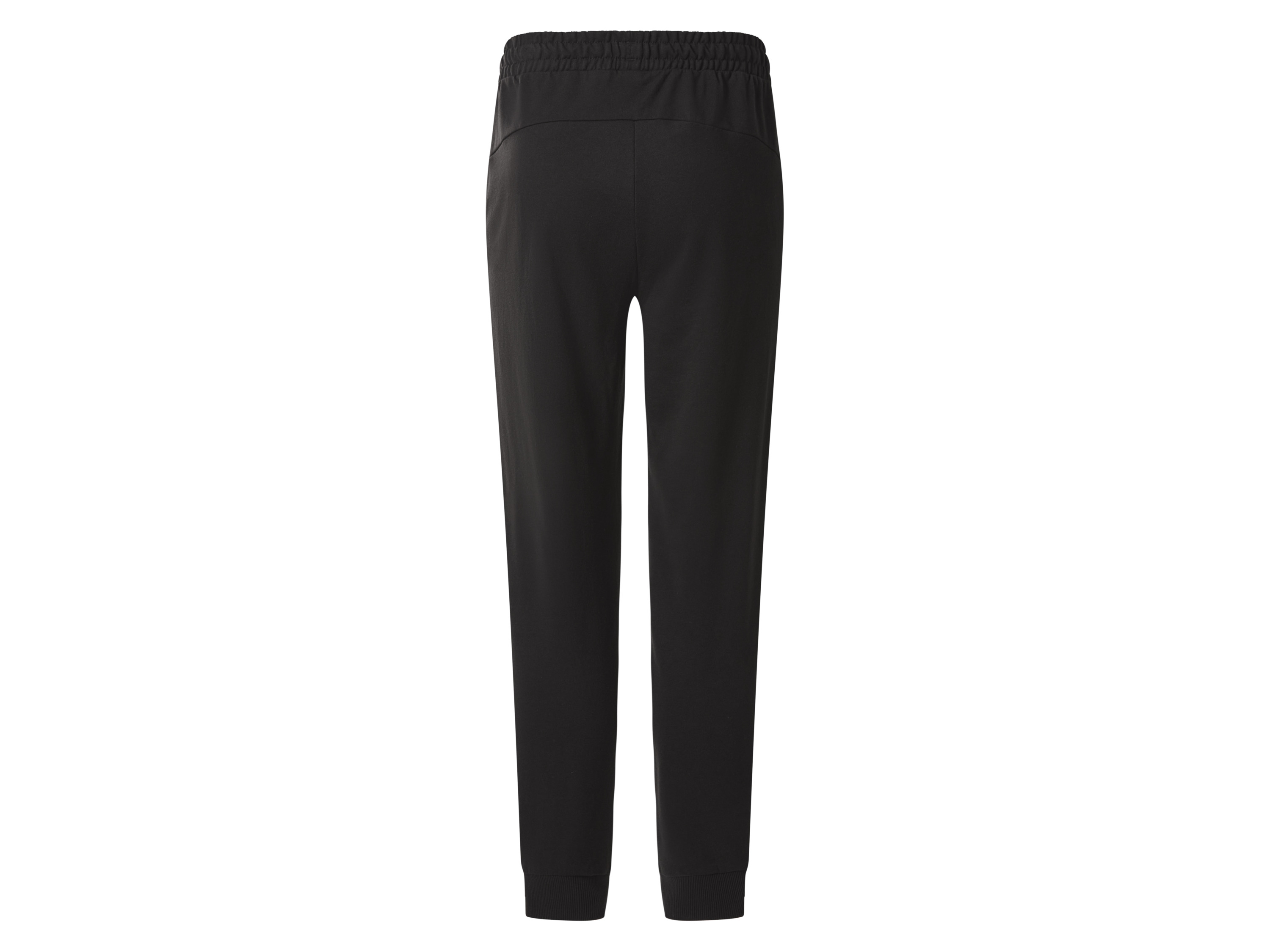 PUMA Sporthose PUMA Jogginghose teamGOAL Bild 2