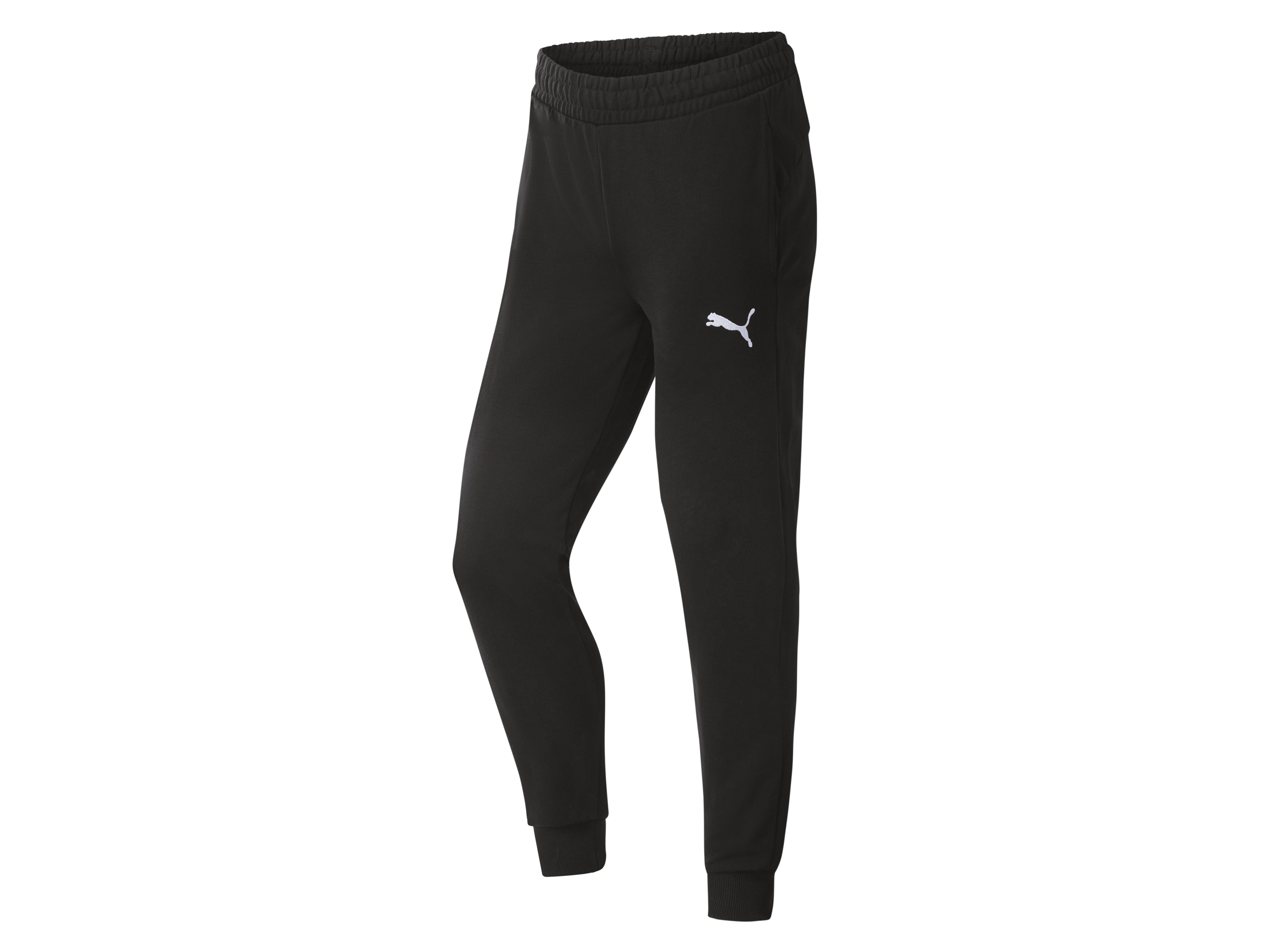 PUMA Sporthose PUMA Jogginghose teamGOAL Bild 3
