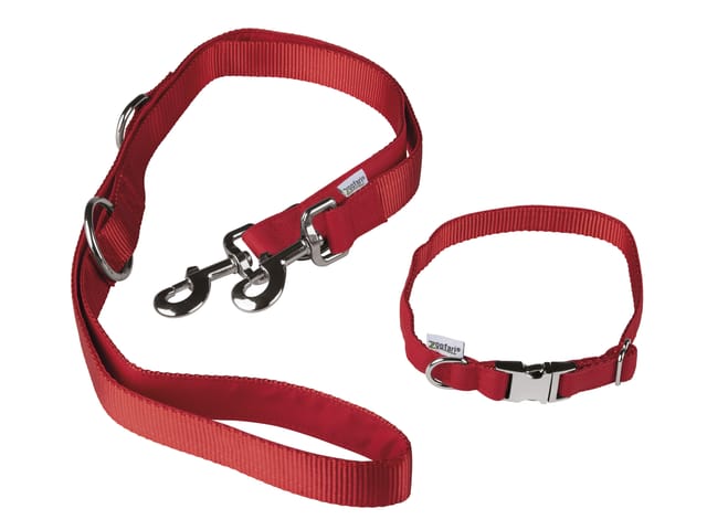 ZOOFARI® Set Hundehalsband und Hundeleine (Rot, S)